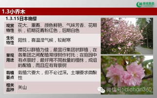 綠城集團(tuán)園林軟景苗木圖譜 全套