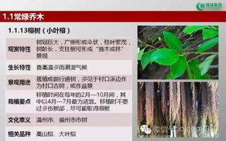 綠城集團(tuán)園林軟景苗木圖譜,非常全面,值得借鑒 收藏