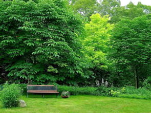 沭陽縣茂葉苗木園藝場公司介紹