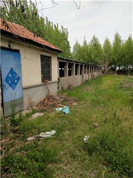 超值商機(jī) 1元/平，2800平米多用途場(chǎng)地出租，適合加工廠、養(yǎng)殖場(chǎng)、苗圃倉庫等